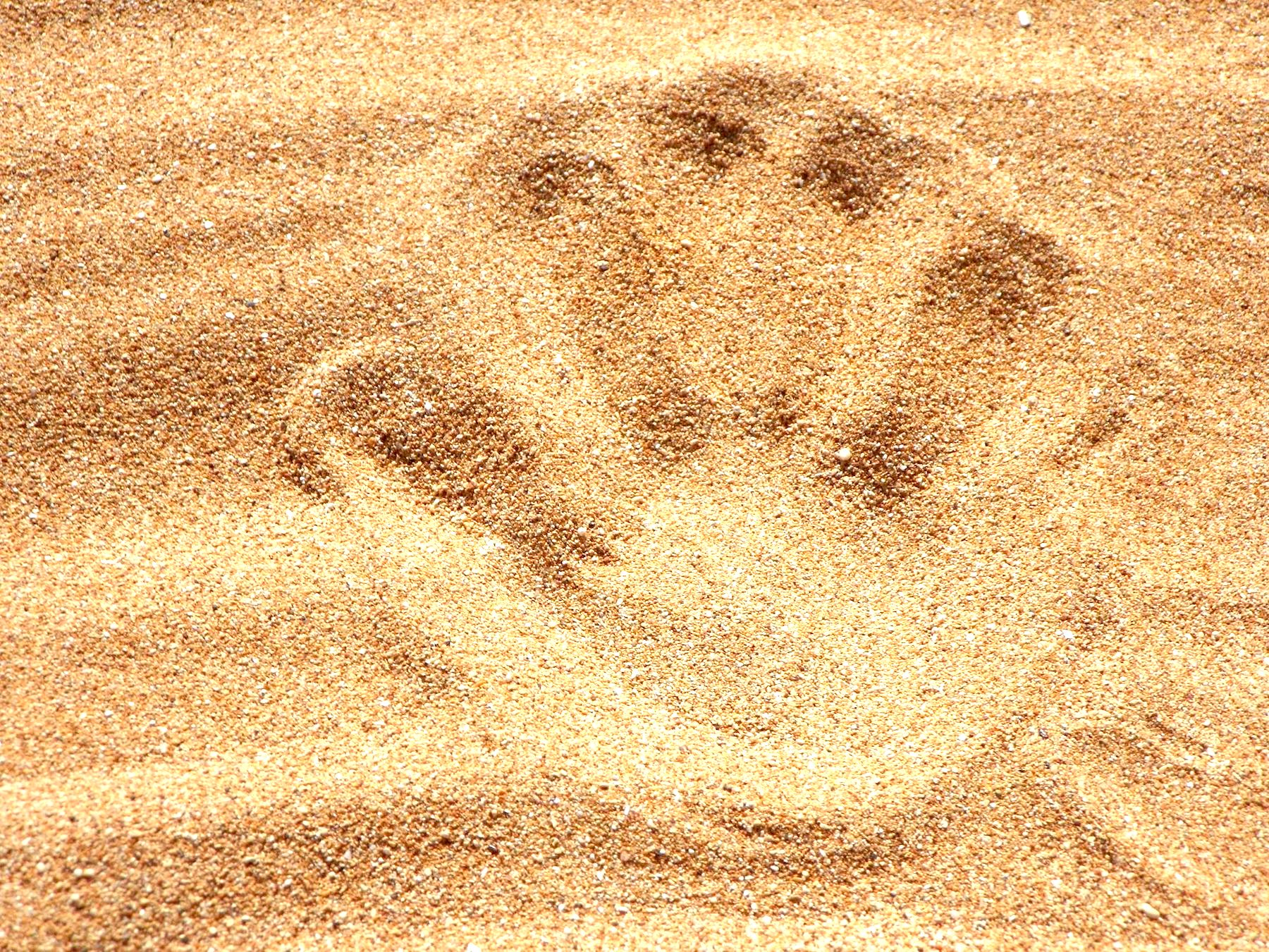 Unsplashed background img 1